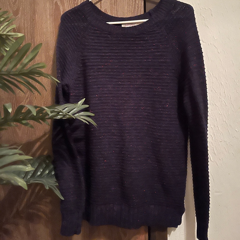 Navy Sweater from faded glory